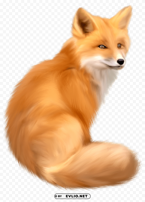 fox Isolated Element with Clear PNG Background