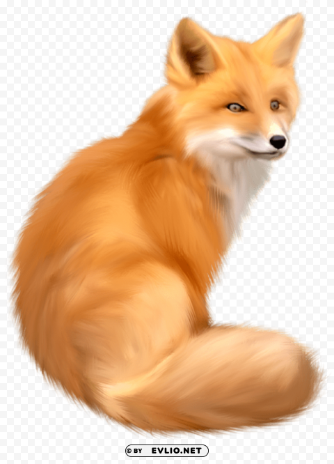 Fox S PNG Clipart