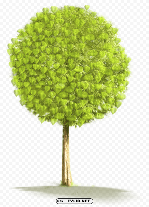 Large Tree High Resolution PNG Isolated Illustration