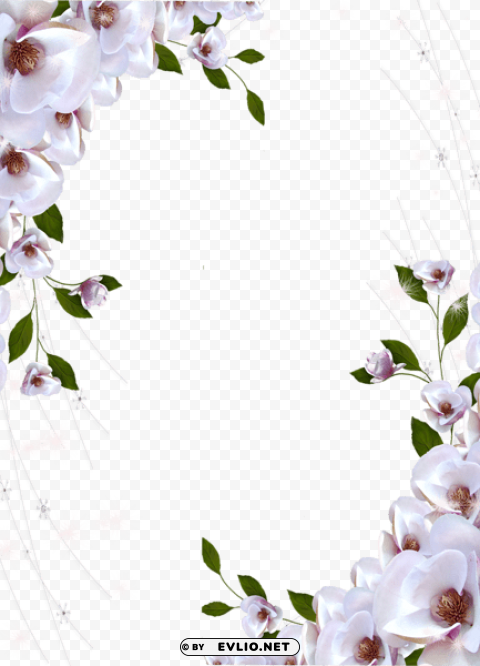 transparent photo frame beautiful flowers Background-less PNGs