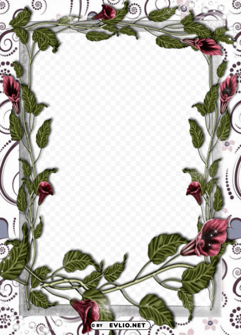 transparent white flowers frame Clean Background Isolated PNG Graphic Detail