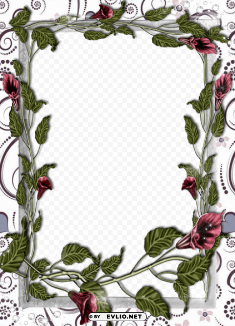 Transparent White Flowers Frame Clean Background Isolated PNG Graphic Detail