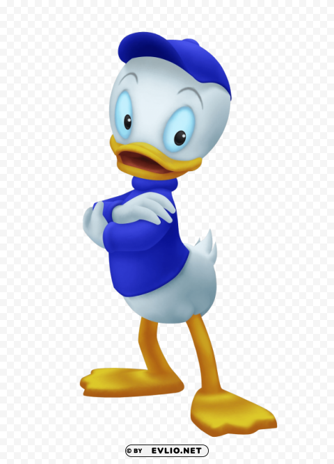 dewey duck PNG without background