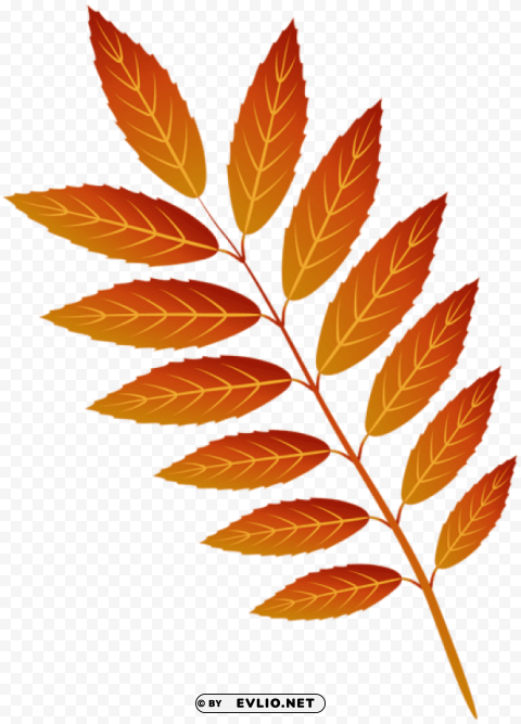 orange autumn leaf Transparent Background PNG Isolated Element