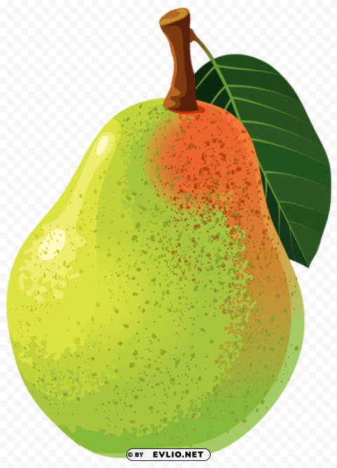 pear vector Transparent PNG graphics complete archive