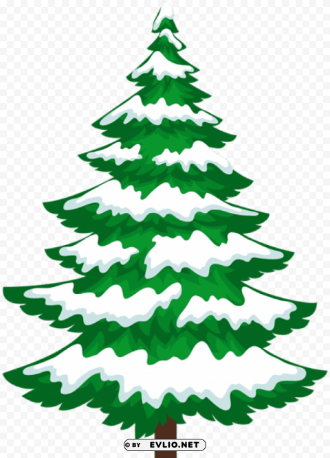 pine tree with snow transparent PNG for overlays