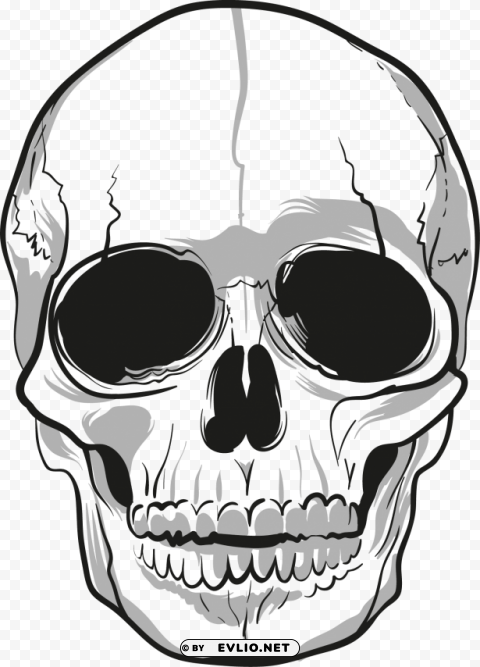 skulls PNG Image Isolated on Clear Backdrop