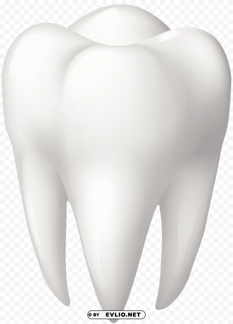 tooth molar PNG with no cost