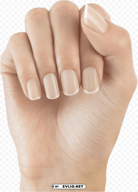nails Transparent Background Isolated PNG Icon