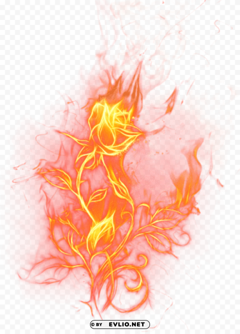 fire rose Free PNG transparent images PNG transparent with Clear Background ID 9e351a3d