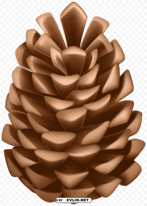 pine cone High-resolution transparent PNG images