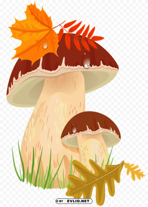 fall mushroomspicture Isolated Element on Transparent PNG