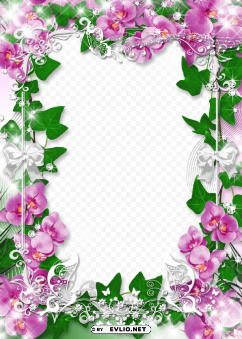 orchid flower frame PNG Image Isolated on Transparent Backdrop