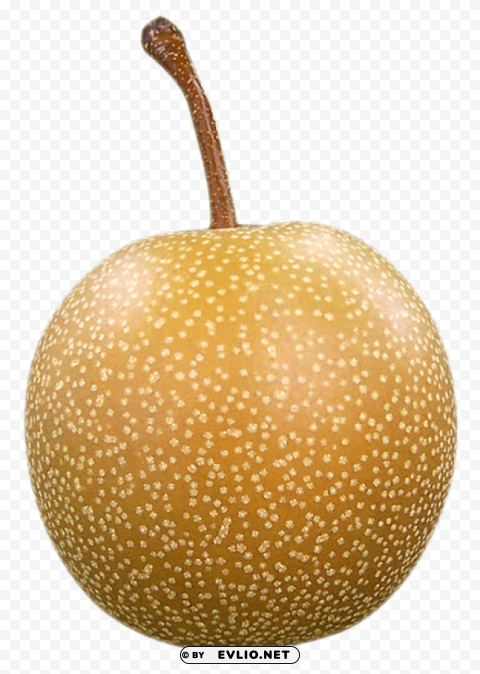 Asian Pear PNG images with high-quality resolution