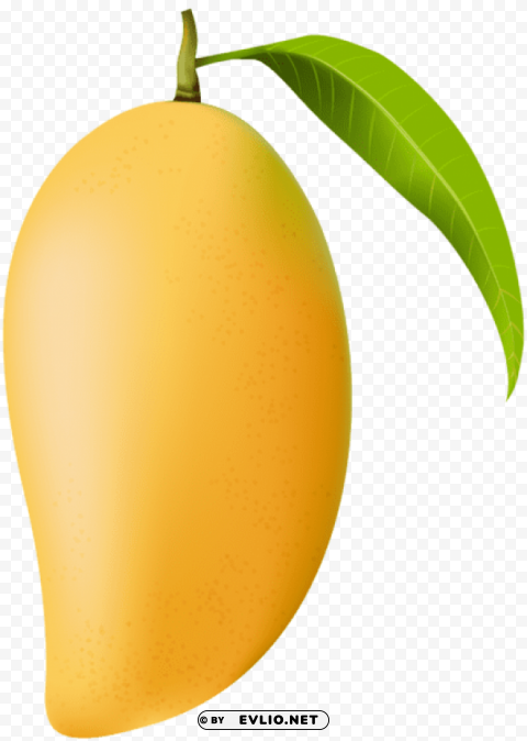 mango Transparent PNG images complete package