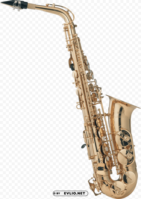 saxophone Isolated Character with Clear Background PNG
