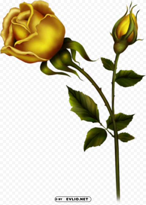 yellow rose with bud Transparent PNG graphics archive