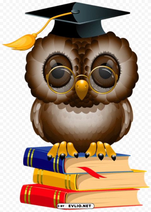 owl with school books and cap High-quality PNG images with transparency