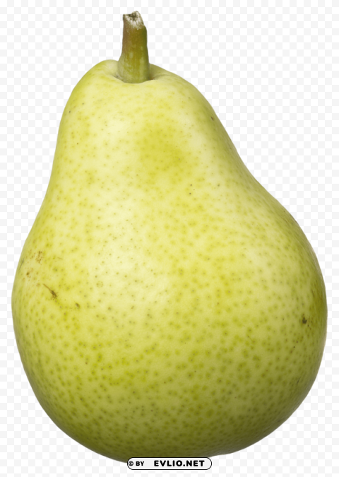 pear fruits Isolated Artwork in Transparent PNG Format