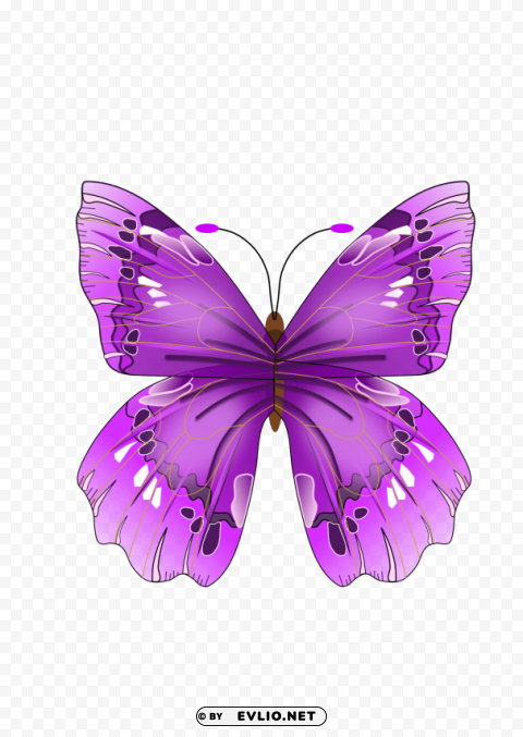 butterfly Isolated Icon in Transparent PNG Format