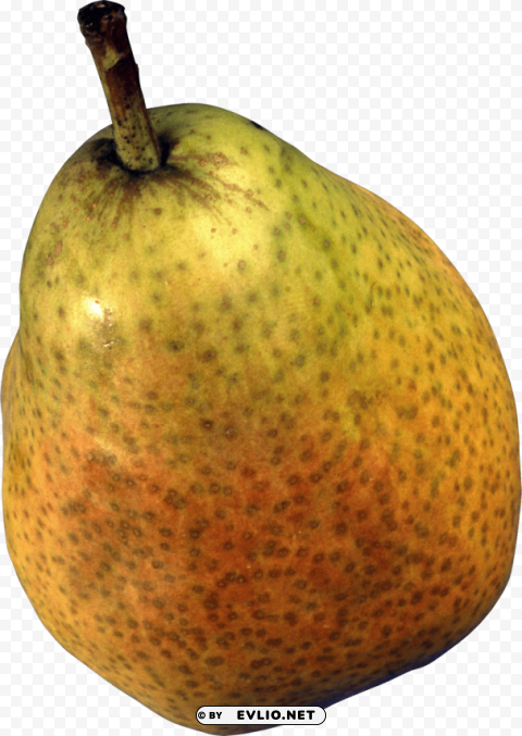 pear PNG images with no watermark