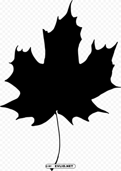 Leaf Silhouette PNG artwork with transparency
