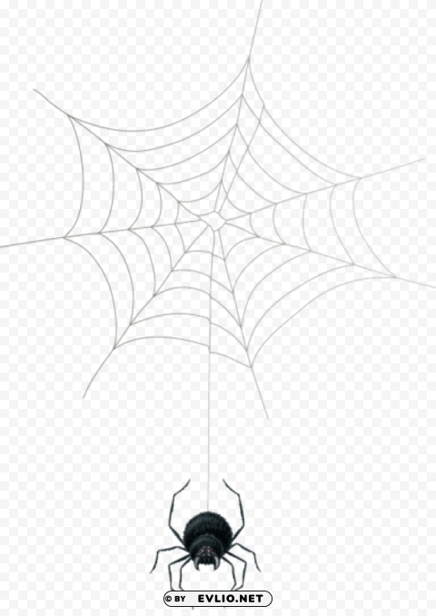 Spider Web PNG With Cutout Background