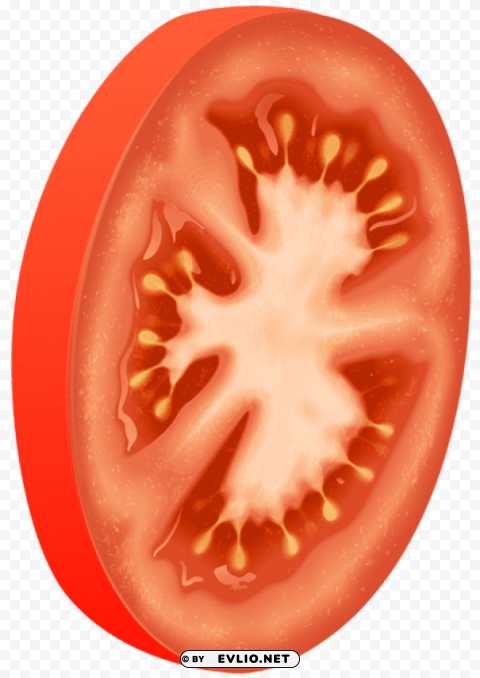 tomato circle Transparent PNG graphics bulk assortment