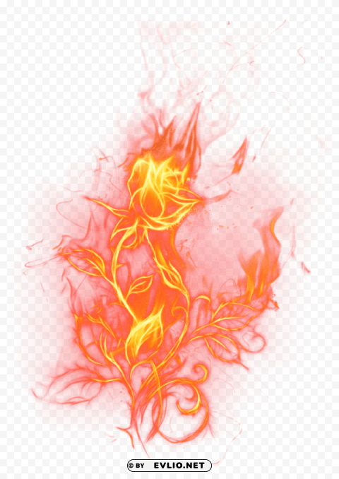  fire rosepicture PNG transparent photos for presentations