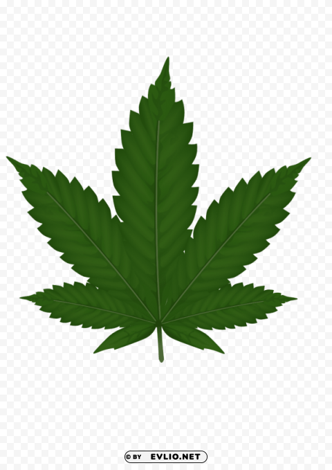 cannabis PNG images with cutout