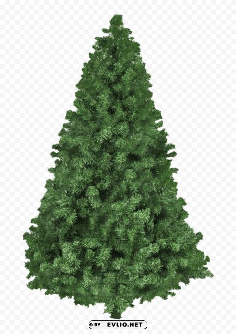christmas tree Clear Background PNG Isolated Element Detail