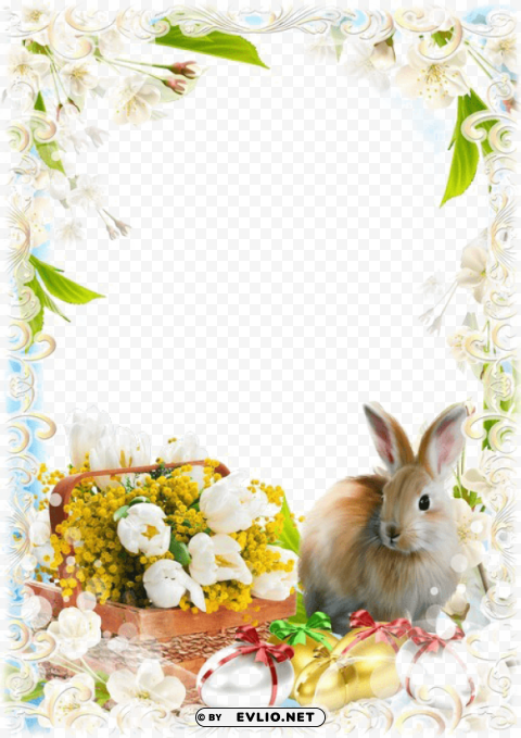 easter frame PNG download free PNG transparent with Clear Background ID b6cb4bc0