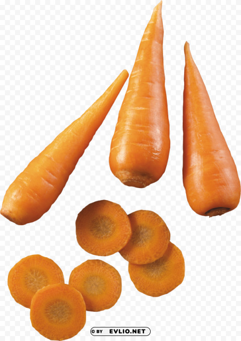 carrot PNG transparent elements package