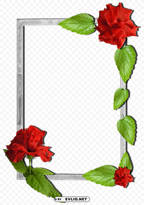 flowers frame 7 PNG images without licensing