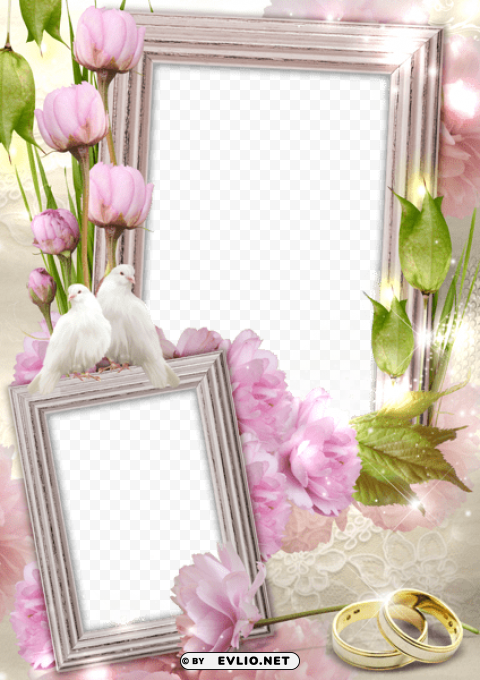 transparent wedding frame with rings and doves PNG graphics with clear alpha channel collection