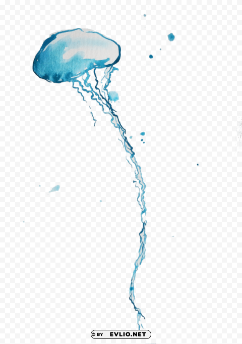 blue bottle jellyfish Clear background PNG images bulk