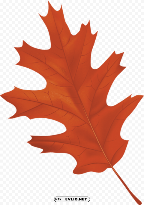 brown autumn leaf PNG Image with Isolated Transparency