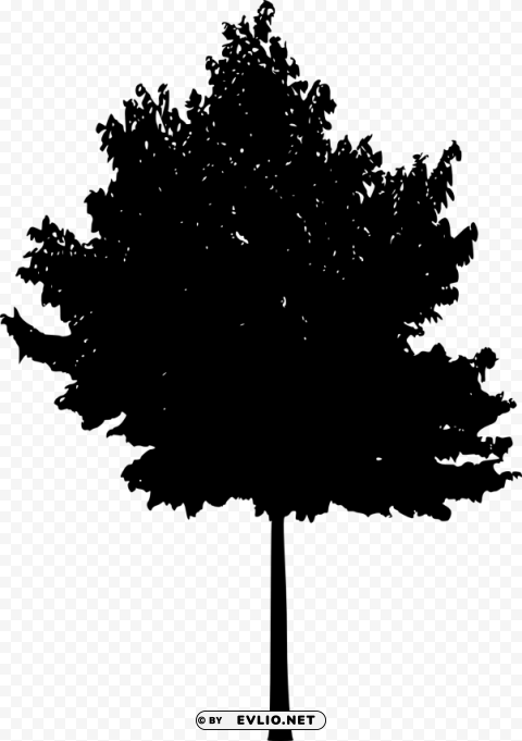 tree silhouette Isolated Subject with Clear Transparent PNG