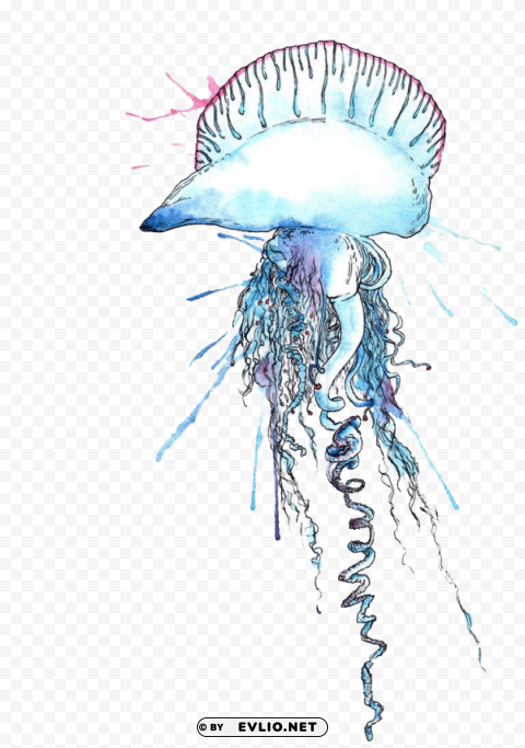 blue bottle jellyfish Clear Background PNG Isolated Graphic Design