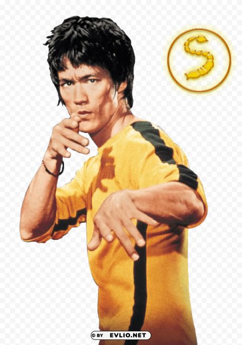 bruce lee PNG Image with Transparent Isolation