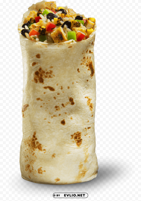 burrito pic Isolated Object with Transparent Background in PNG