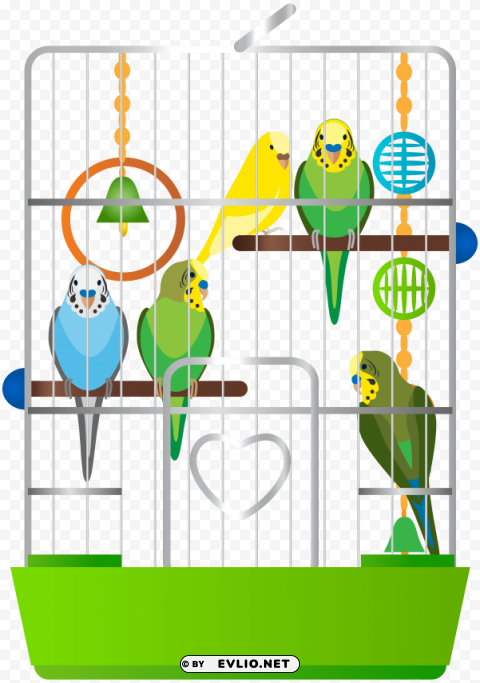 cage with parrots Transparent PNG Isolated Subject