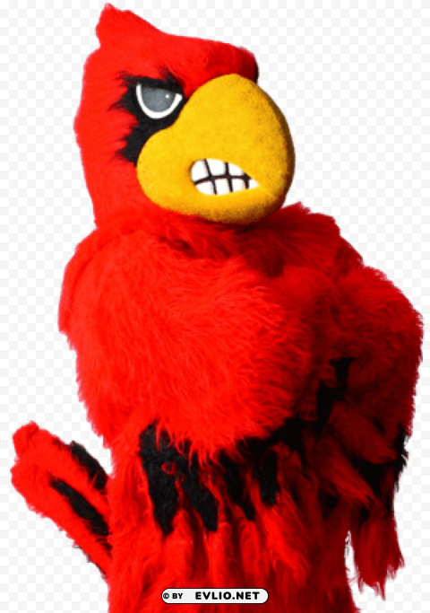 louisville cardinal mascot Clear Background PNG Isolated Design Element