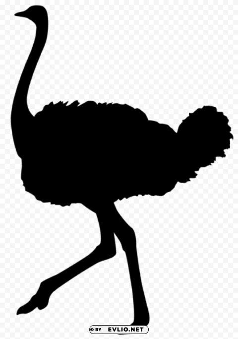 ostrich silhouette Clear PNG file