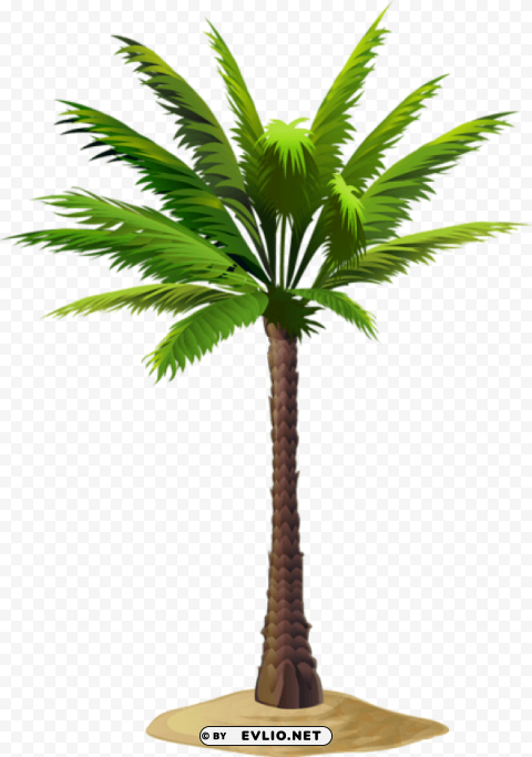 PNG image of palm free PNG with no bg with a clear background - Image ID c1cca2da