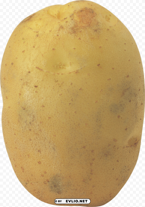 potato Transparent Background Isolation of PNG