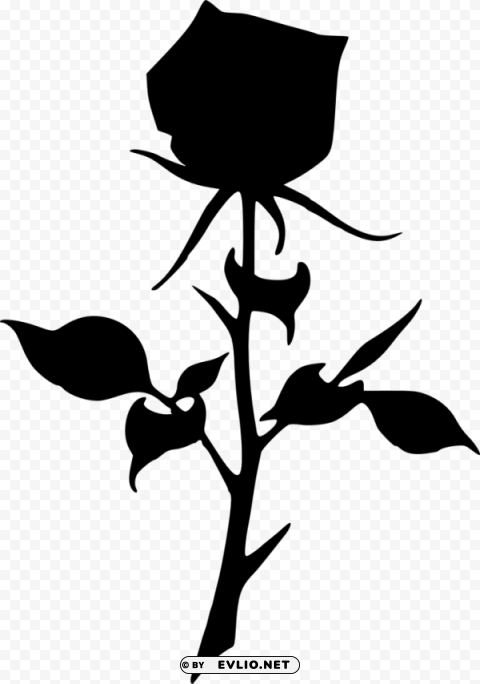 rose silhouette Isolated Subject in Transparent PNG