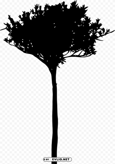 Transparent Tree Silhouette Transparent pics PNG Image - ID 88a55a65