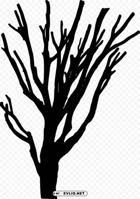 tree silhouette HighQuality Transparent PNG Isolated Graphic Element