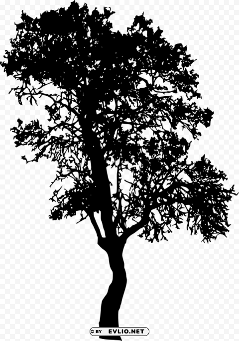 tree silhouette Isolated Object with Transparent Background PNG